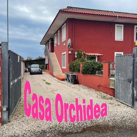 菲乌米奇诺Casa Orchidea公寓 外观 照片